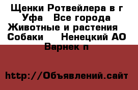 Щенки Ротвейлера в г.Уфа - Все города Животные и растения » Собаки   . Ненецкий АО,Варнек п.